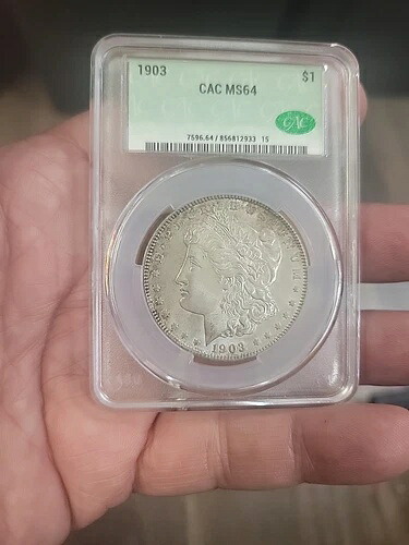1903年 モルガン銀貨 1ドル MS 64 CACG。CAC承認済み！PetetheGreek Wdw