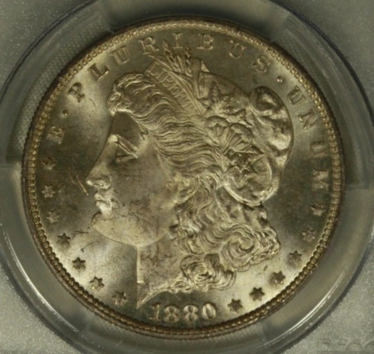 1880/9-S モルガン・ダラー。1ドル。PCGS MS63。フロスティホワイト。｜WORLD RESOURCE【KING店】 195,250円