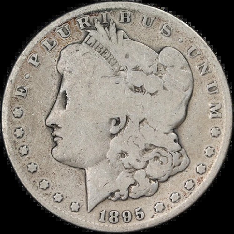 1895-S モルガン銀貨 ナイスG ナイスアイアピール ナイスストライク|WORLD RESOURCE【KING店】