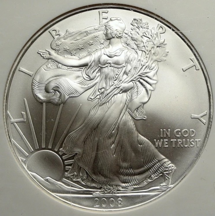 2008年 アメリカ ウォーキング・リバティ 白頭鷲 銀メダル コイン GEM UNC NGC i113457|WORLD RESOURCE【KING店】
