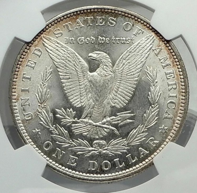 1883年 アメリカ合衆国 シルバー モルガン USドルコイン イーグル NGC MS i79617|WORLD RESOURCE【KING店】