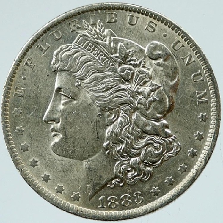 1883年 アメリカ合衆国 イーグル オールドシルバー モルガン USドルコイン i117085|WORLD RESOURCE【KING店】
