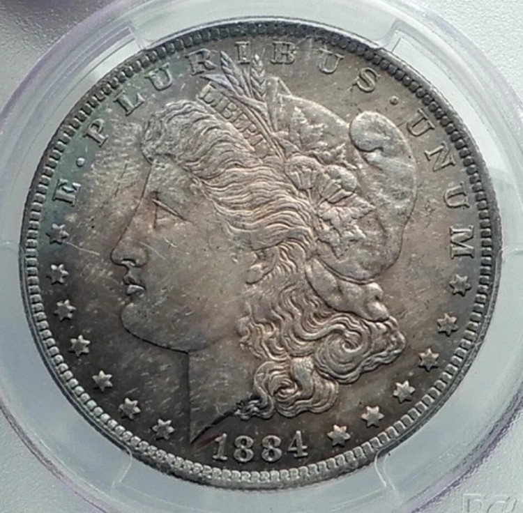 1884年 アメリカ合衆国 シルバー モルガン USドルコイン イーグル PCGS MS i78878｜WORLD RESOURCE【KING店】 206,800円