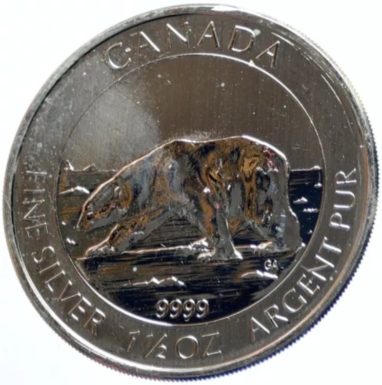 2013年 カナダ 英国 エリザベス2世 ポーラーベア ノルディック プルーフ シルバー 8ドル コイン i103928｜WORLD RESOURCE【KING店】