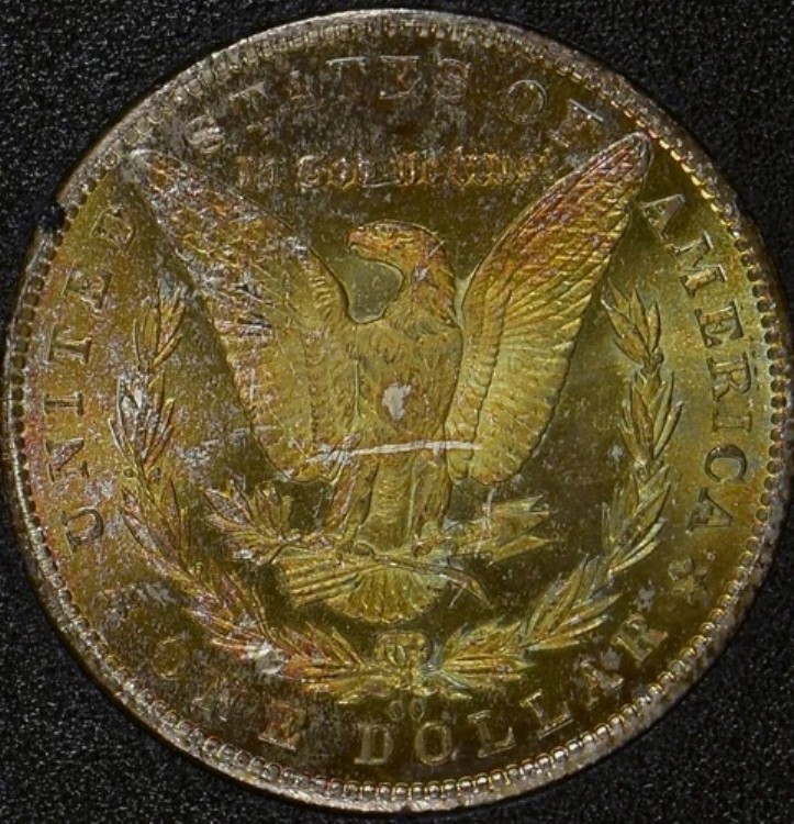 1884-CC GSAトーンモルガンシルバードル?NGC認定MS63?カラフルな裏面*｜WORLD RESOURCE【KING店】