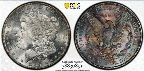 1880-S モルガン・ダラー PCGS MS63 | モンスタートーンの裏面