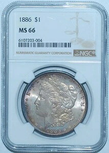 1886年 P NGC MS66 モルガン銀貨|WORLD RESOURCE【KING店】