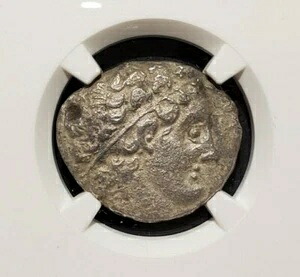 NGC 認証 良質 プトレマイオス10世 テトラドラクマ (紀元前94/93年)｜WORLD RESOURCE【KING店】 182,050円