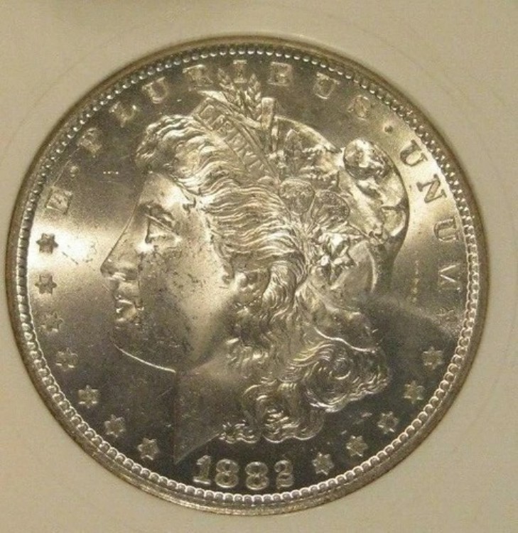 1882年CCモルガン銀貨 - BU、フロスティ、ゴールド周辺部トーニング 4189