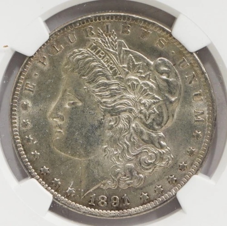 1891-CC モルガン・ダラー Vam-3 スピッティング・イーグル NGC AU 詳細