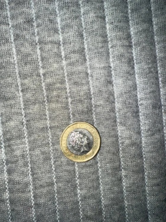2016年 エリザベス女王 銀貨と金貨 1ポンド 希少コイン|WORLD RESOURCE【KING店】