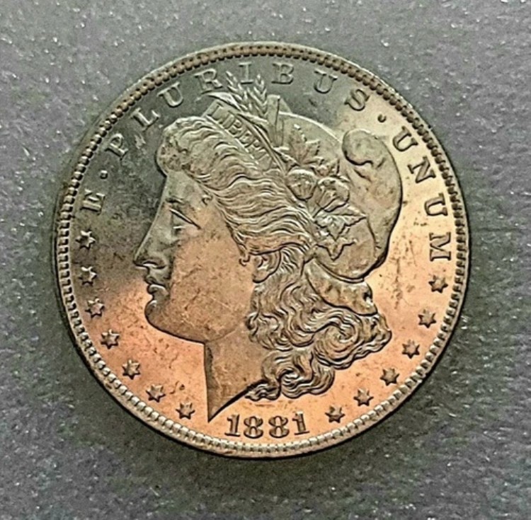 1881 O モーガン シルバー ダラー レア セミ PL DMPL OBV/REV MS BU グレード シルバー 1 ドル コイン|WORLD RESOURCE【KING店】