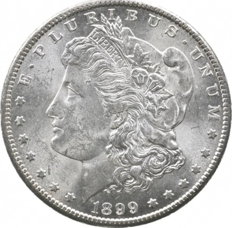 1899-S モルガン銀貨 *2845｜WORLD RESOURCE【KING店】