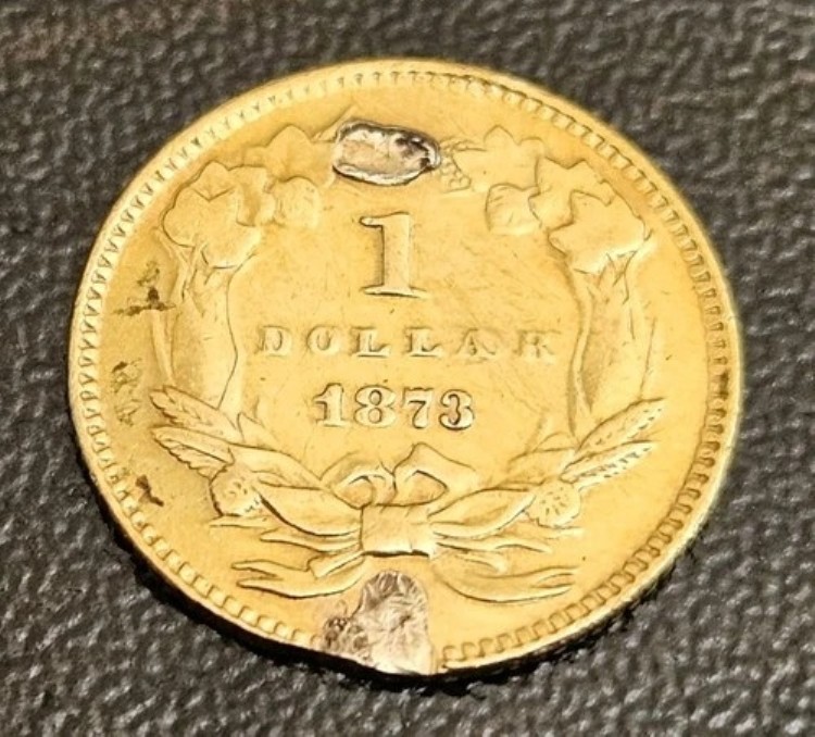 1873年 金インディアンプリンセスヘッド1ドルコイン オープン3