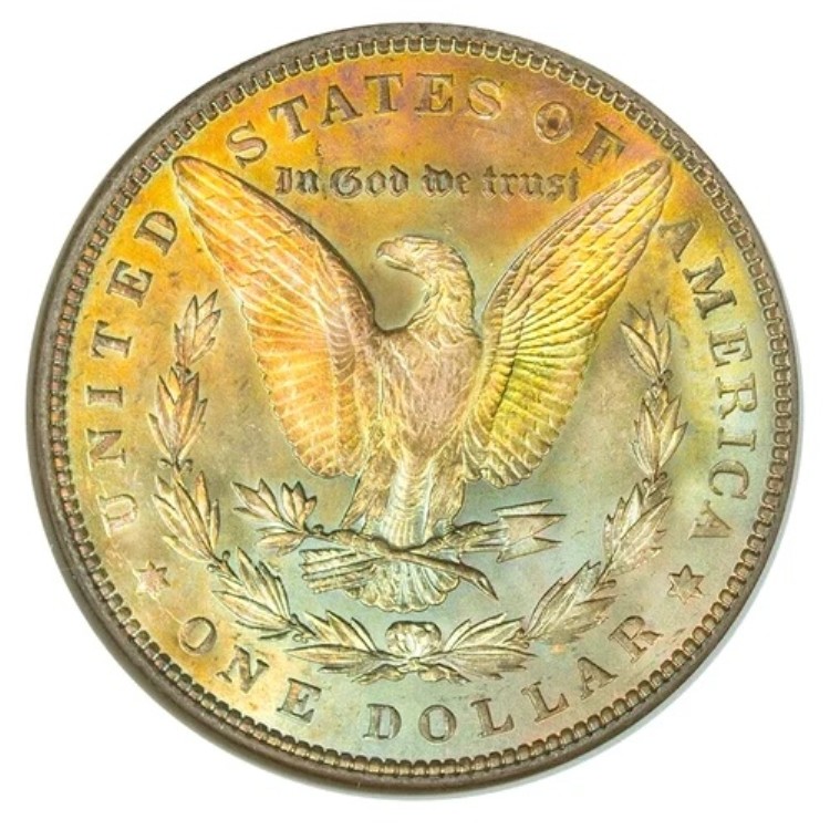 1887-P NGC MS63 モーガン・ドル「ビニオン・コレクション」鮮やかなレインボー・トーニング（ビデオ）