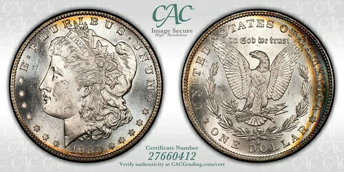 1880-S モルガン銀貨 CACG MS65