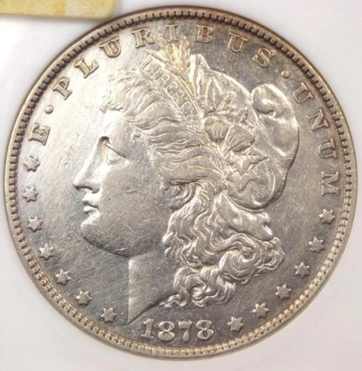 1878 年 「オープン ノーストリル」 モーガン シルバー ダラー $1 VAM-14.5 - ANACS AU Dets (Net XF40)
