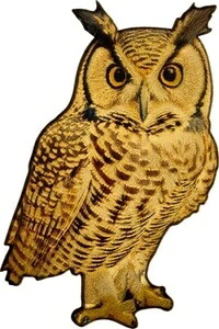 2025年コンゴ .999 ゴールドカラーコイン フクロウ 珍しいフクロウ型プルーフ 野生動物 動物 WWF
