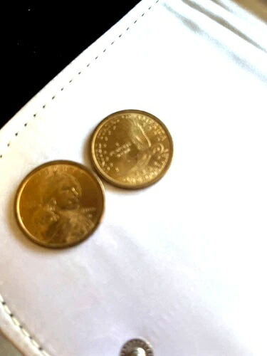 2000年「D」サカガウィア金貨、美しいネイティブ・インディアンとその息子。｜WORLD RESOURCE【KING店】