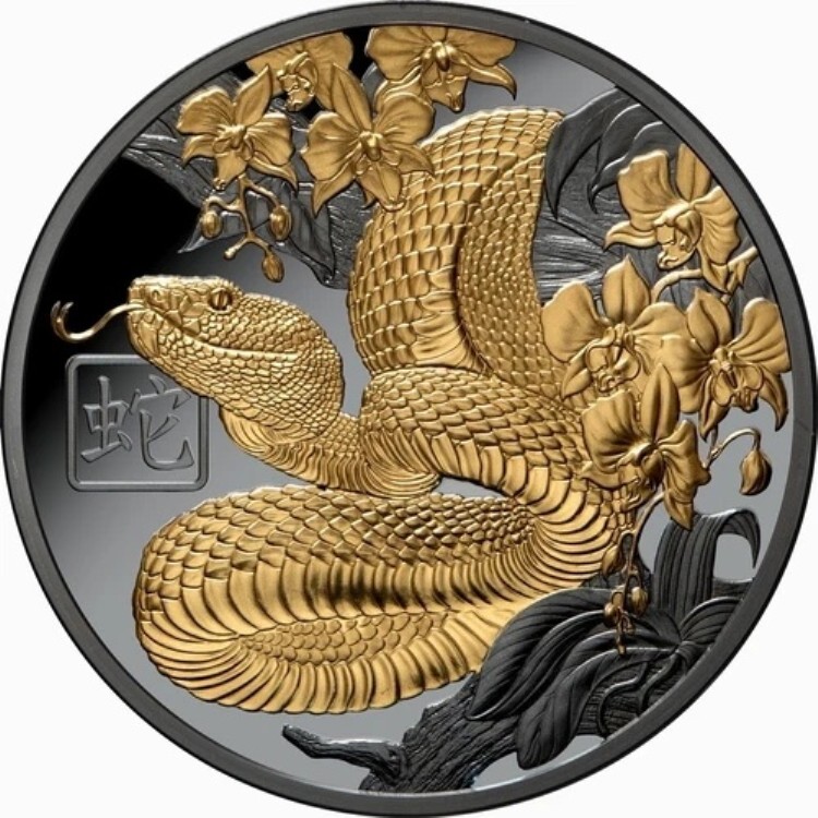 ニウエ 2025年 巳年 1ドル 1トロイオンス 金メッキ銀貨 ブラックプルーフ シリアル番号70｜WORLD RESOURCE【KING店】