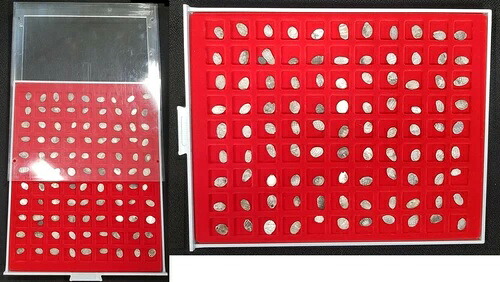 ロシア 100 x 1 トロフコペケ 銀 1500-1700、ベブラカステン S-Ss、VF、(2)|WORLD RESOURCE【KING店】