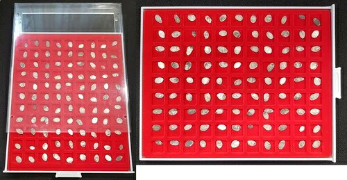 ロシア 100 x 1 トロフコペケ 銀 1500-1700、ベブラカステン S-Ss、VF、(3)|WORLD RESOURCE【KING店】