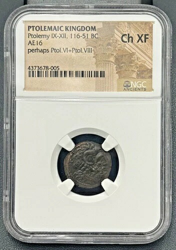 プトレマイオス朝、プトレマイオス9世-12世のコイン、紀元前116-51年 AE 16、NGC CH XF、