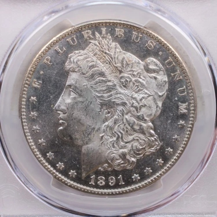 1891 年モルガン銀貨、PCGS MS-63、プルーフ同等、ストア セール #GDR0178。