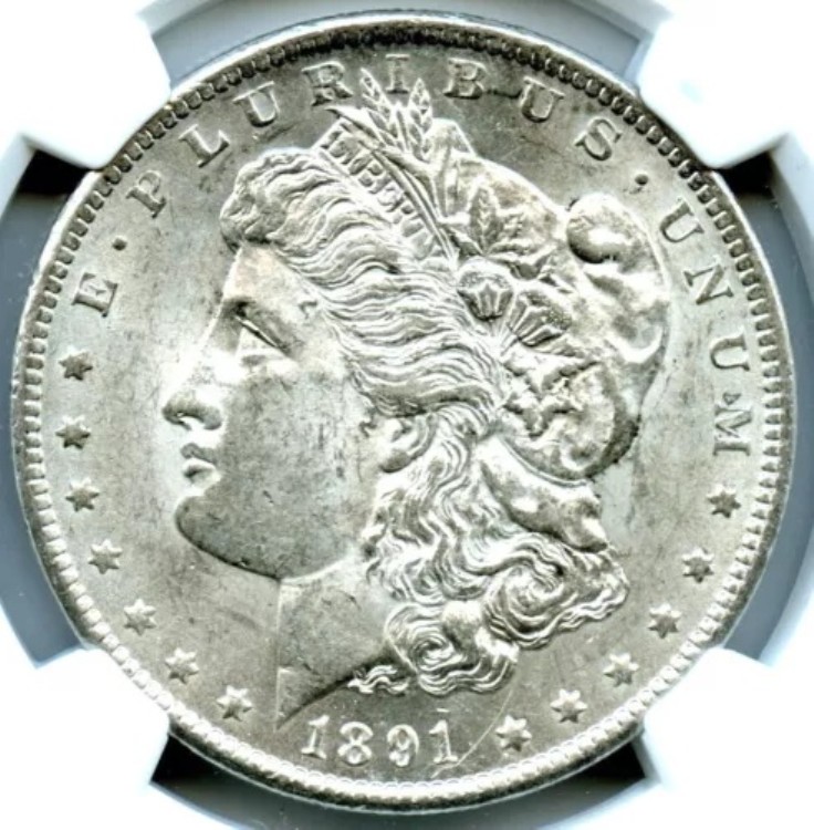 1891-CC モルガン・ダラー、NGC MS 61 VAM-3 スピッティング・イーグル｜WORLD RESOURCE【KING店】