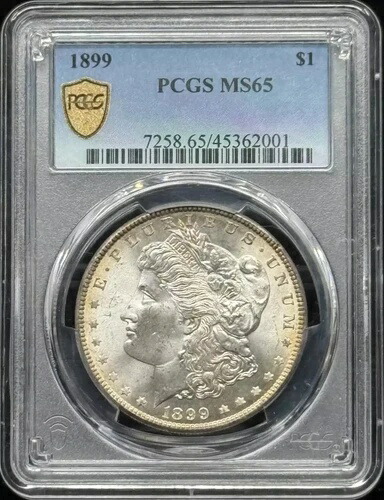 1899年 モルガン銀貨 PCGS MS-65