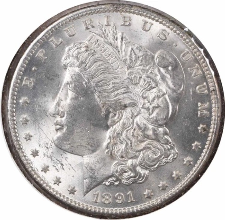 1891年 VAM 2 モルガン銀貨 ダブルイヤーチョイス BU 未認定 #641