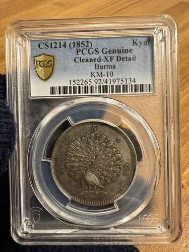 楽天市場】BURMA ビルマ 1チャット 銀貨 『孔雀』 1852 スラブ入り NGC