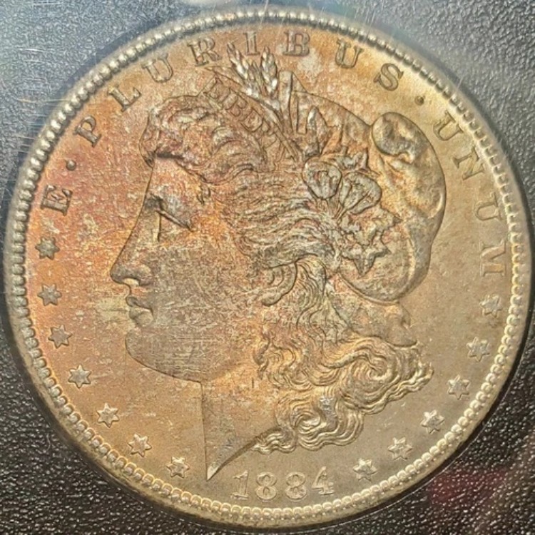 1884 CC モルガン シルバー ダラー S$1 GSA COA付き ANACS MS64 トーン 外箱なし｜WORLD RESOURCE【KING店】