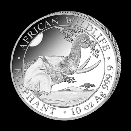 2023年 アフリカ野生動物象 10オンス .999 銀貨