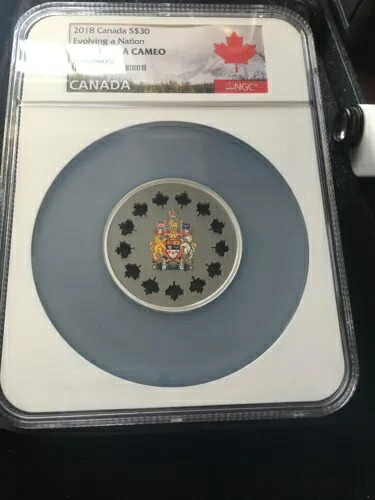 2018 Evolving Nation 1.66 オンス 99.99 シルバー $30 NGC PF-70 UC 説明をご覧ください。｜WORLD RESOURCE【KING店】