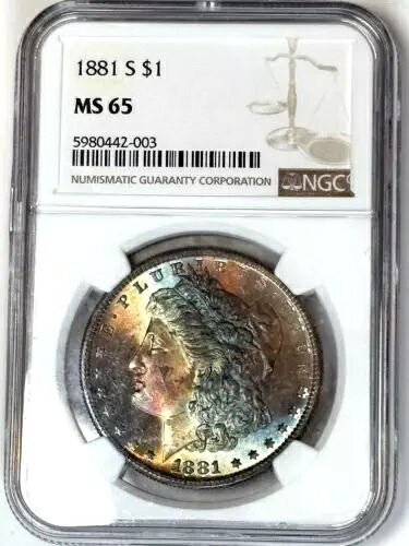 1881 S トーン モルガン $ NGC MS 65????モンスター表面レインボートーン????ビデオ｜WORLD RESOURCE【KING店】