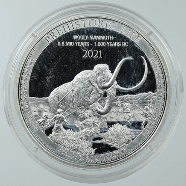 2021年 コンゴ 先史時代の自然 マンモス プルーフ銀貨 20フラン i116514｜WORLD RESOURCE【KING店】
