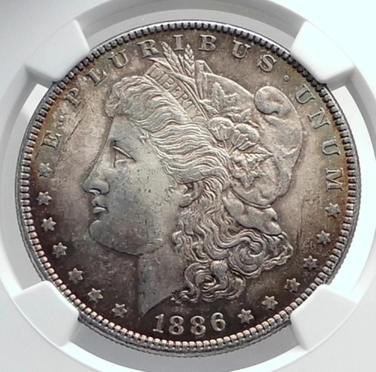 1886年 アメリカ合衆国 シルバー モルガン USドルコイン イーグル NGC MS i80035｜WORLD RESOURCE【KING店】
