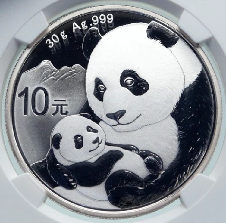 2019年 中国製 パンダの母と子 プルーフシルバー 10元 中国コイン NGC MS70 i86684｜WORLD RESOURCE【KING店】