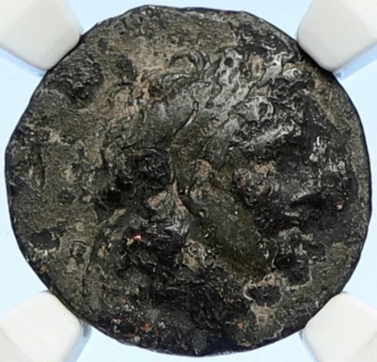 トリフォン 紀元前148年 本物 古代セレウキ朝ギリシャコイン マケドニアヘルメット NGC i106733|WORLD RESOURCE【KING店】
