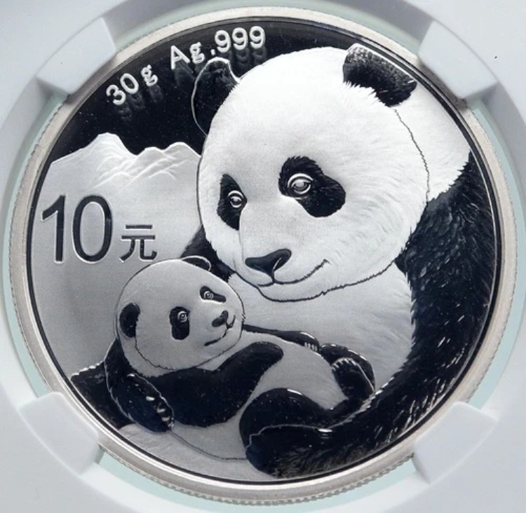 2019年 中国製 パンダの母と子 プルーフシルバー 10元 中国コイン NGC MS70 i86681|WORLD RESOURCE【KING店】
