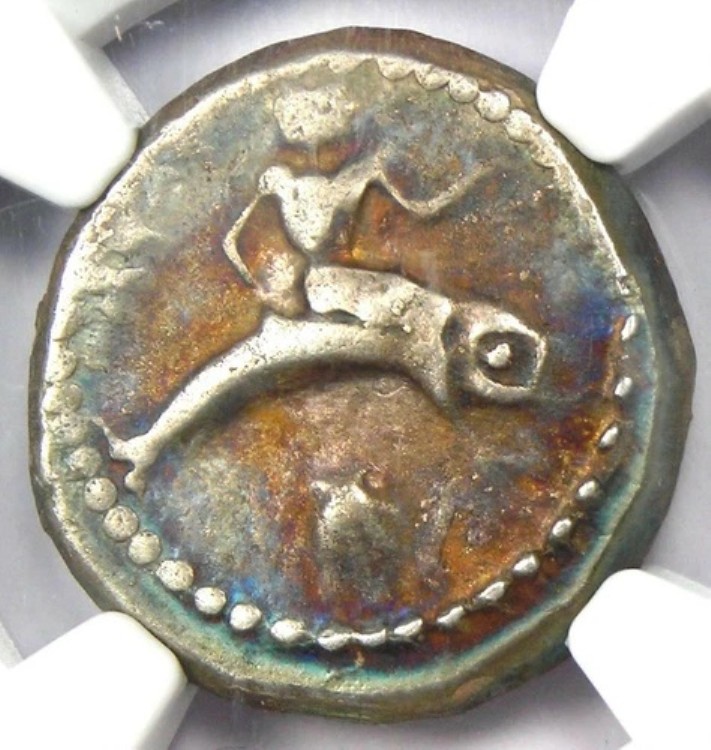 カラブリア タラス AR ディドラクマ ドルフィン コイン 紀元前 480 年 - NGC VF 認定 - 初期発行!｜WORLD RESOURCE【KING店】