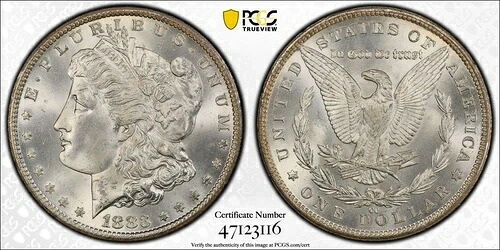 1883年CCモルガン銀貨 PCGS MS-65+｜WORLD RESOURCE【KING店】 306,405円