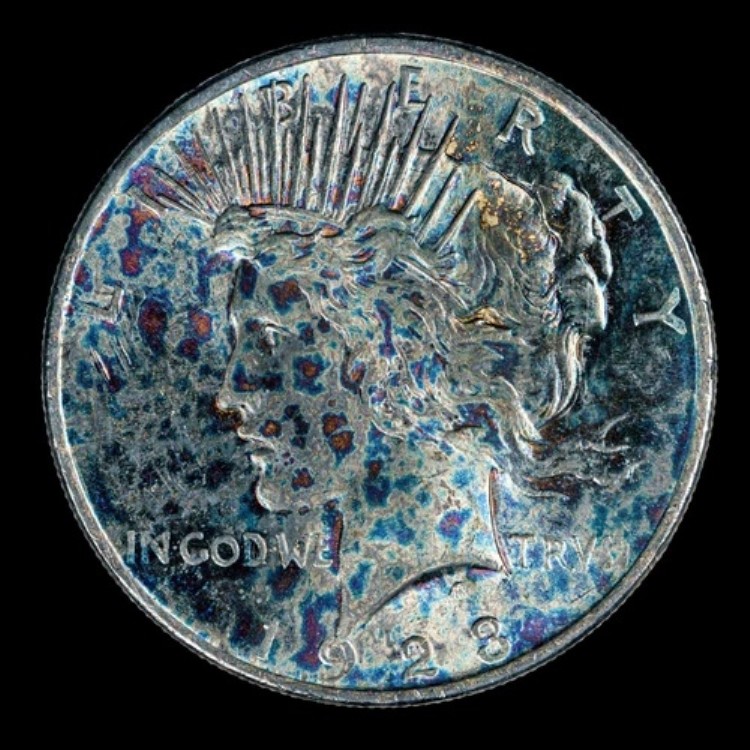 1923年 シルバー リバティ ピース ドル フィラデルフィア造幣局 流通コイン *?迅速発送?|WORLD RESOURCE【KING店】