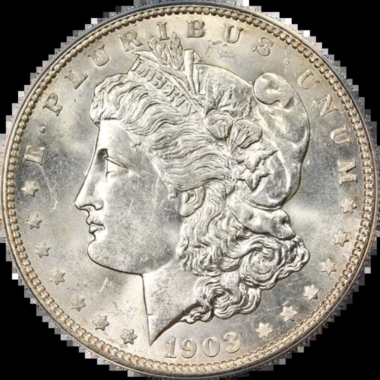 1903-O モルガン銀貨 VAM 10 ANACS MS62 ブラストホワイト ナイスストライク|WORLD RESOURCE【KING店】