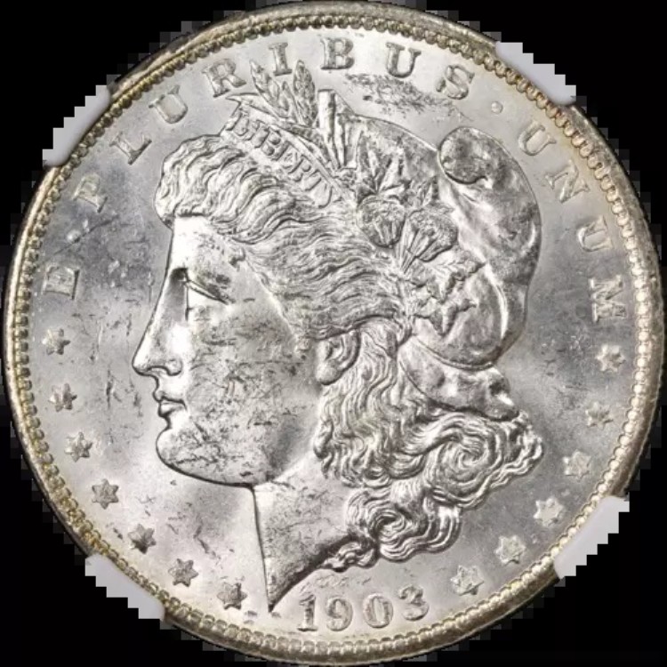 1903-O モルガン銀貨 NGC MS62 キーデイト ブラストホワイトストロングストライク｜WORLD RESOURCE【KING店】