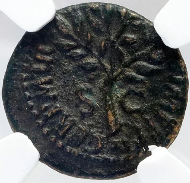 Nero 本物 古代 64AD ローマ QUADRANS ローマコイン ヘルメット シールド NGC i82897｜WORLD RESOURCE【KING店】 309,375円