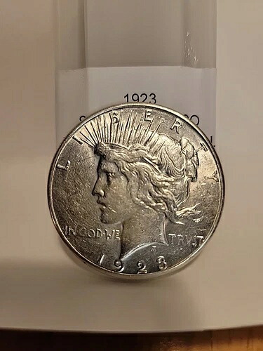 1923年 銀製ピースダラー 20ドルロール AU州サンフランシスコ造幣局より｜WORLD RESOURCE【KING店】 309,870円