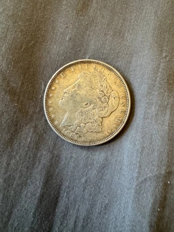 1921年モルガン銀貨|WORLD RESOURCE【KING店】
