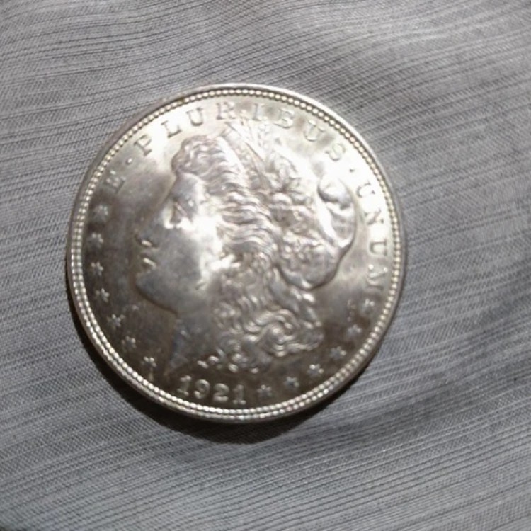 レア E pluribus Unum 1921 シルバー ダラー コイン 米国収集品｜WORLD RESOURCE【KING店】